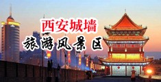 捅进人妻阴道龟头中国陕西-西安城墙旅游风景区