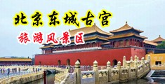jb用力cao逼视频中国北京-东城古宫旅游风景区